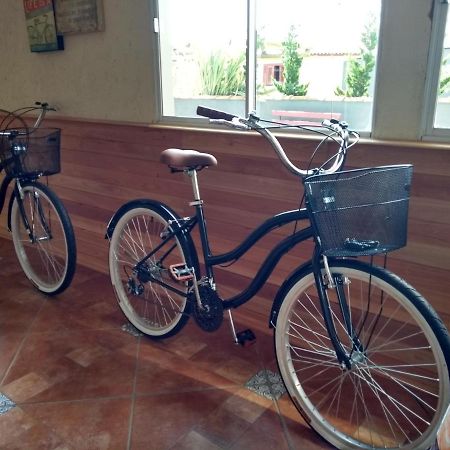 Container Eco Lodge São Francisco de Paula Екстериор снимка